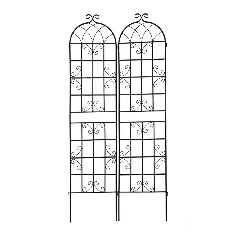 Lot de 2 treillis de jardin en métal noir antirouille de 220 x 50 cm pour plantes grimpantes
