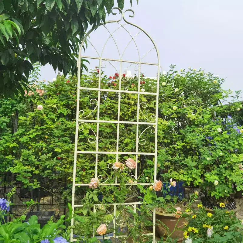 Lot de 2 treillis de jardin en métal noir antirouille de 220 x 50 cm pour plantes grimpantes