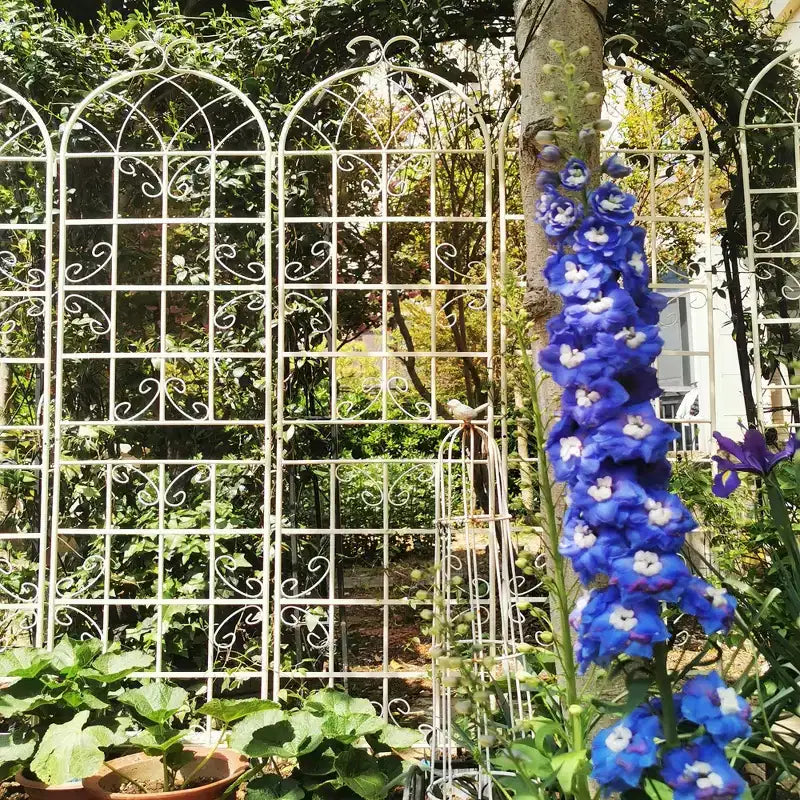 Lot de 2 treillis de jardin en métal noir antirouille de 220 x 50 cm pour plantes grimpantes