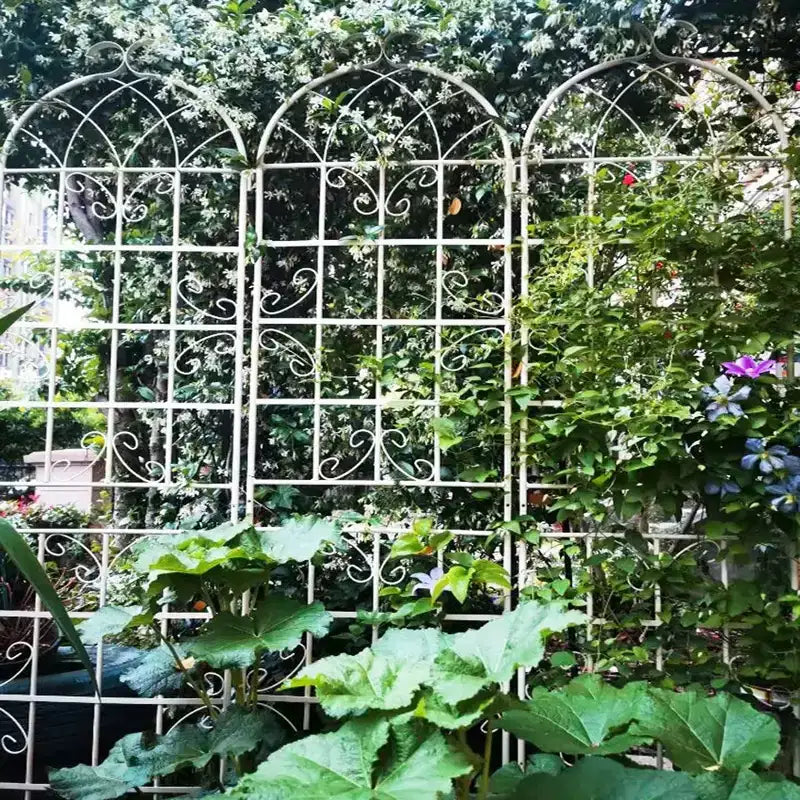 Lot de 2 treillis de jardin en métal noir antirouille de 220 x 50 cm pour plantes grimpantes