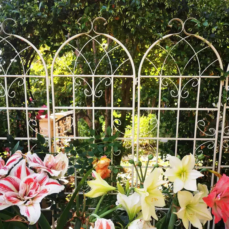 Lot de 2 treillis de jardin en métal noir antirouille de 220 x 50 cm pour plantes grimpantes
