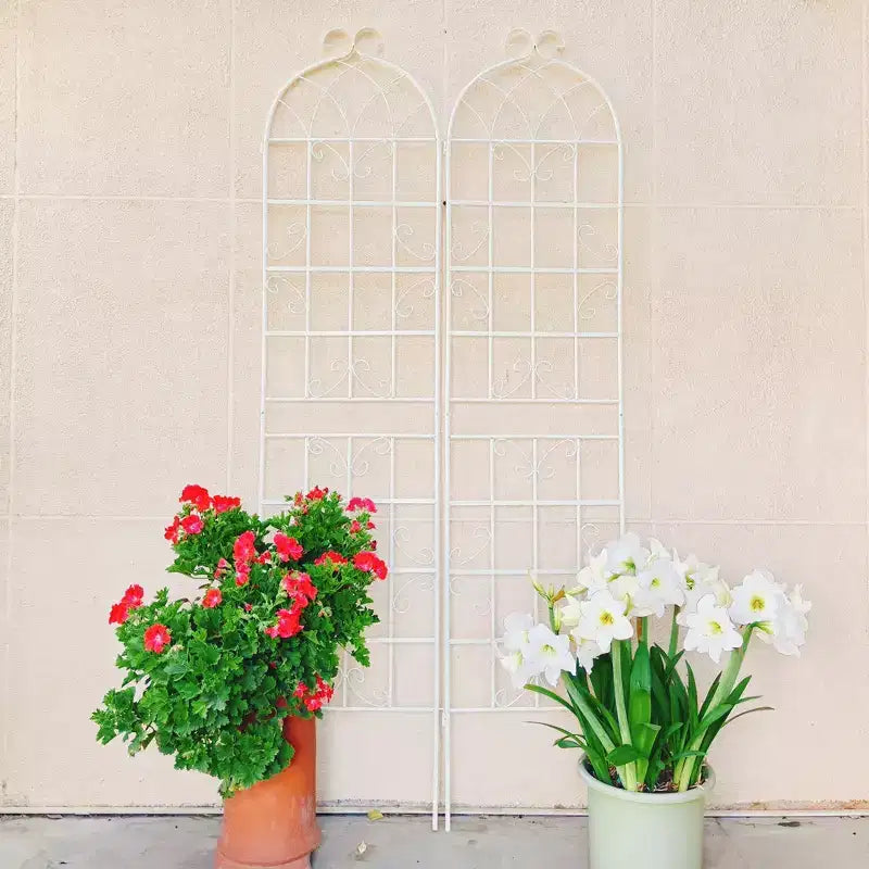 Lot de 2 treillis de jardin en métal noir antirouille de 220 x 50 cm pour plantes grimpantes