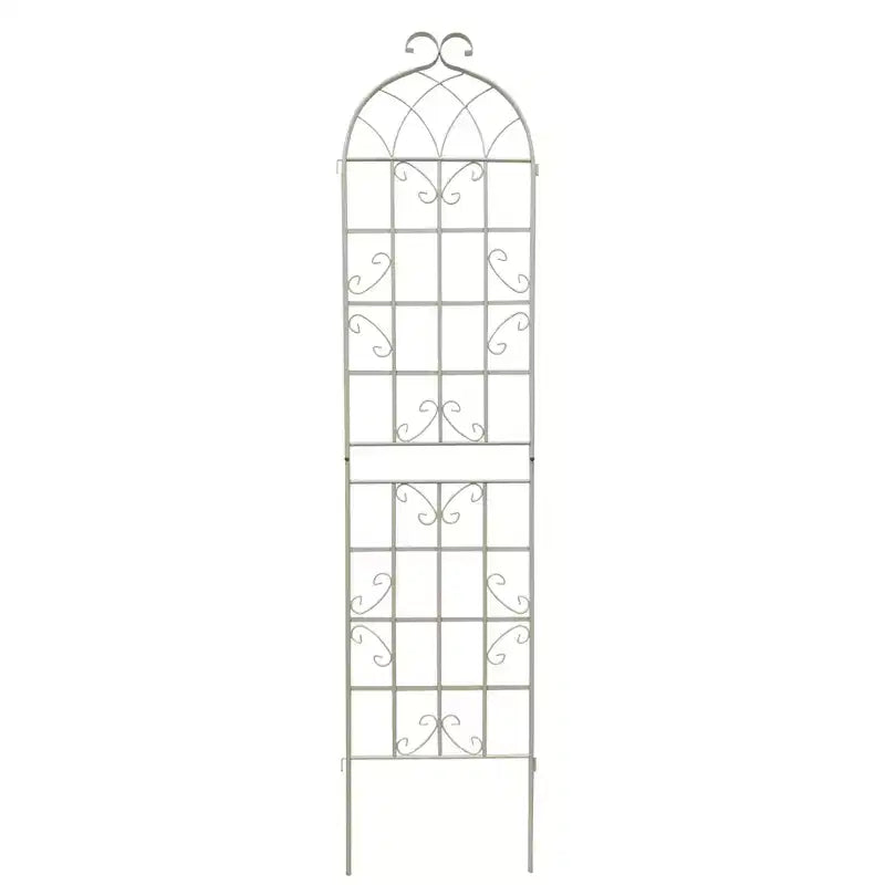 Lot de 2 treillis de jardin en métal noir antirouille de 220 x 50 cm pour plantes grimpantes