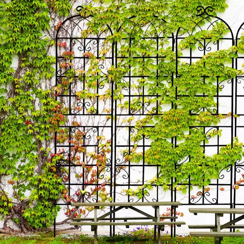 Lot de 2 treillis de jardin en métal noir antirouille de 220 x 50 cm pour plantes grimpantes