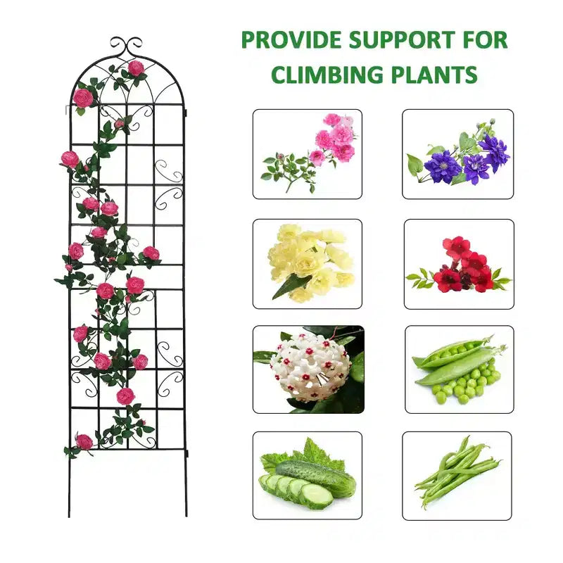 Lot de 2 treillis de jardin en métal noir antirouille de 220 x 50 cm pour plantes grimpantes