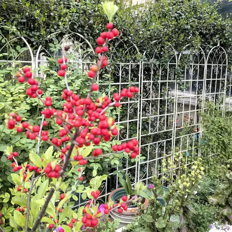 Lot de 2 treillis de jardin en métal noir antirouille de 220 x 50 cm pour plantes grimpantes