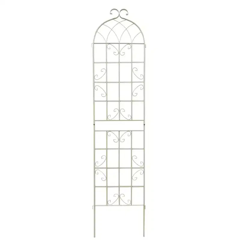 Lot de 2 treillis de jardin en métal noir antirouille de 220 x 50 cm pour plantes grimpantes
