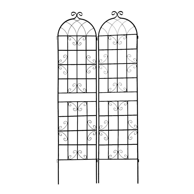 Lot de 2 treillis de jardin en métal noir antirouille de 220 x 50 cm pour plantes grimpantes