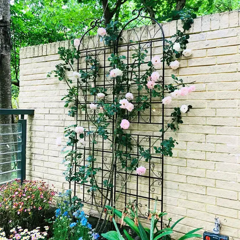 Lot de 2 treillis de jardin en métal noir antirouille de 220 x 50 cm pour plantes grimpantes